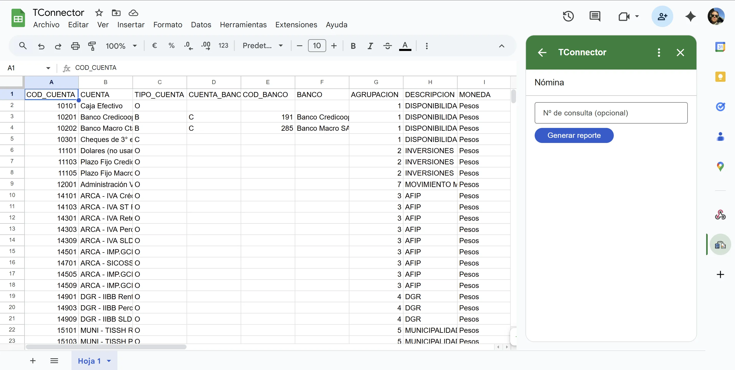 Reporte de datos importado en la hoja de cálculo